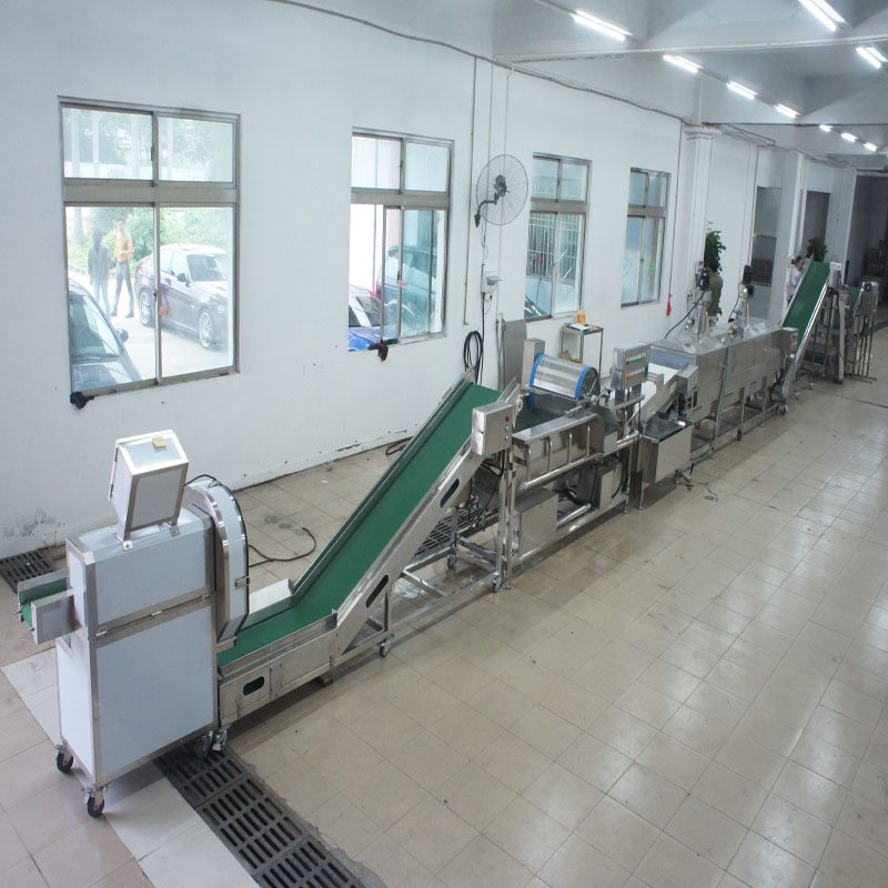 Μεγάλα πράσα που σκοτώνουν τη γραμμή παραγωγής